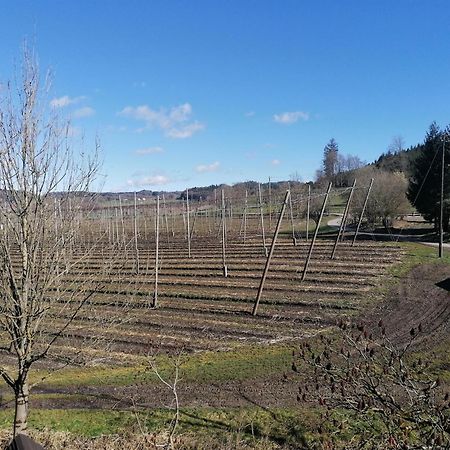 Ferienhof Hopfgärtle Müller Bodnegg Exterior foto