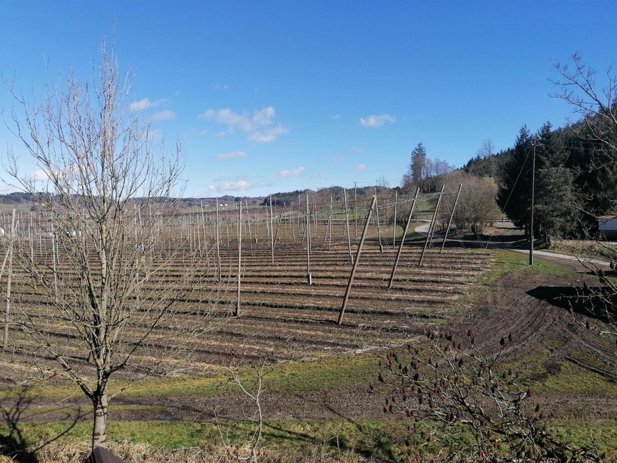 Ferienhof Hopfgärtle Müller Bodnegg Exterior foto